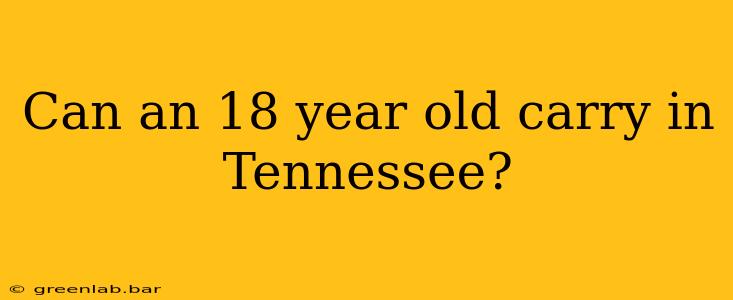 Can an 18 year old carry in Tennessee?