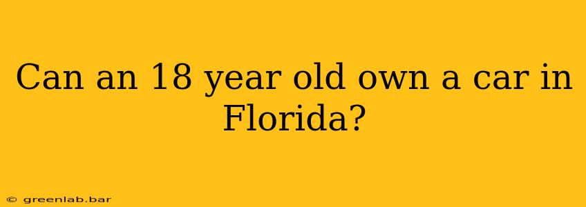 Can an 18 year old own a car in Florida?