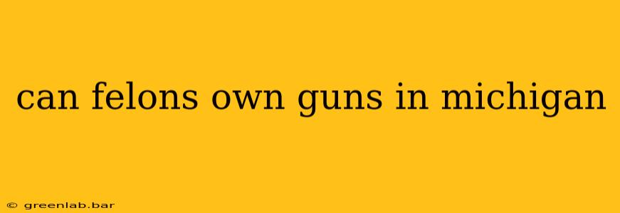 can felons own guns in michigan