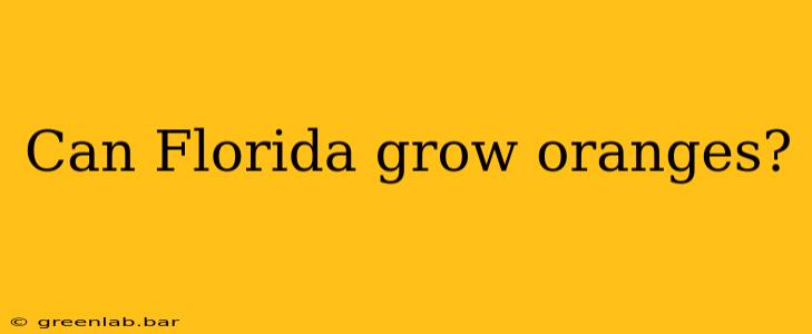 Can Florida grow oranges?