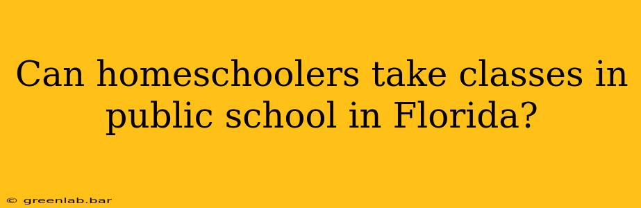 Can homeschoolers take classes in public school in Florida?