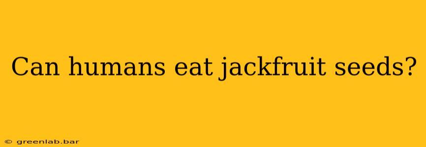 Can humans eat jackfruit seeds?