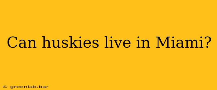 Can huskies live in Miami?