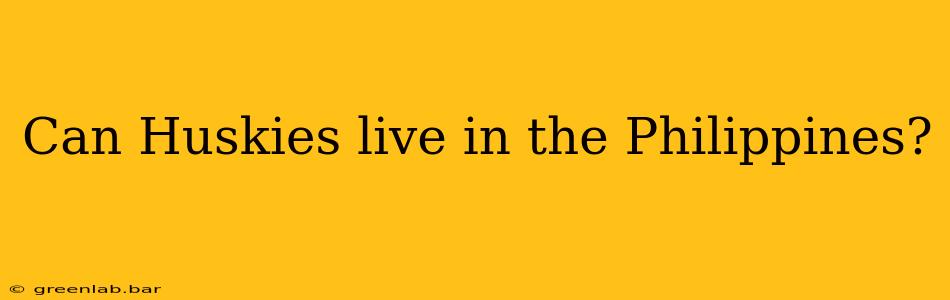 Can Huskies live in the Philippines?
