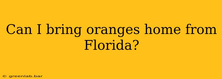 Can I bring oranges home from Florida?