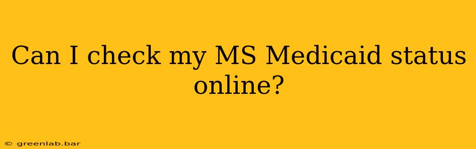 Can I check my MS Medicaid status online?