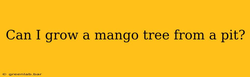 Can I grow a mango tree from a pit?