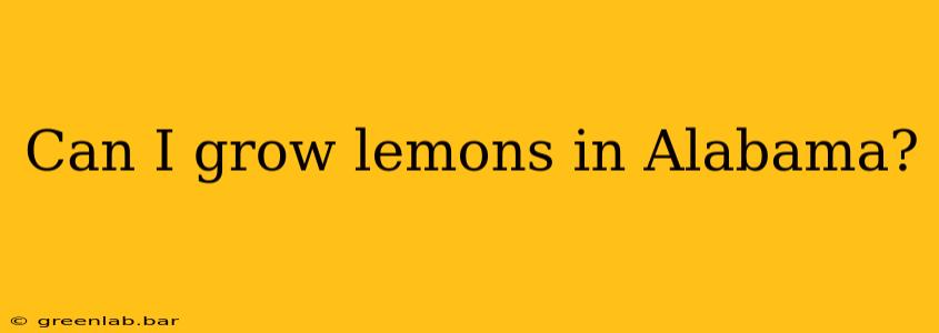 Can I grow lemons in Alabama?