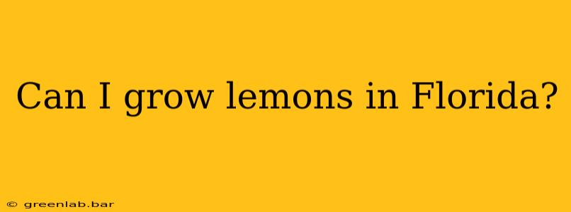 Can I grow lemons in Florida?