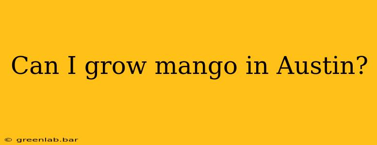 Can I grow mango in Austin?