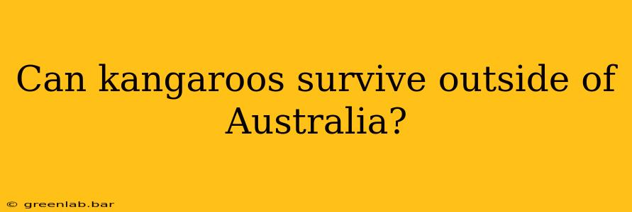 Can kangaroos survive outside of Australia?