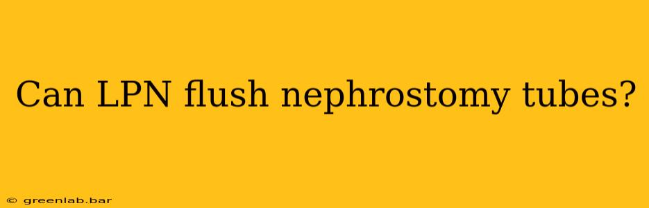 Can LPN flush nephrostomy tubes?