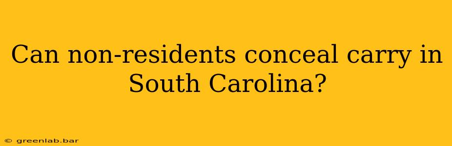 Can non-residents conceal carry in South Carolina?