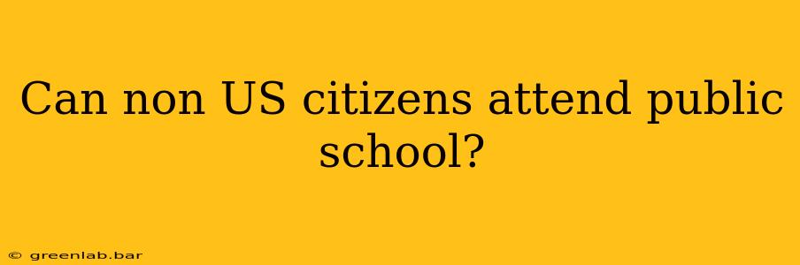 Can non US citizens attend public school?