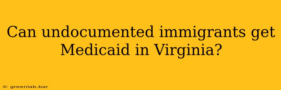 Can undocumented immigrants get Medicaid in Virginia?