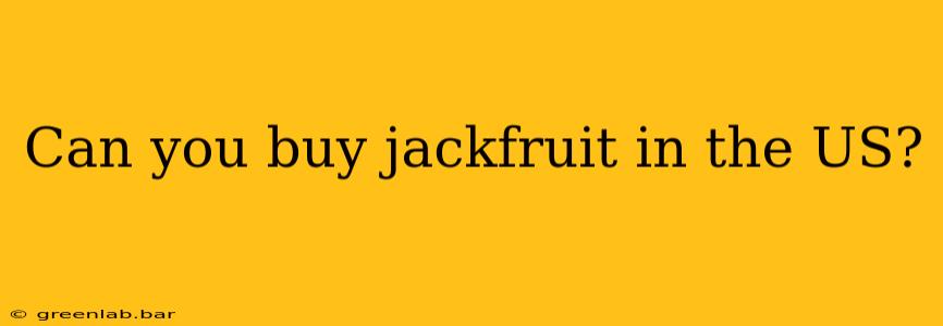 Can you buy jackfruit in the US?