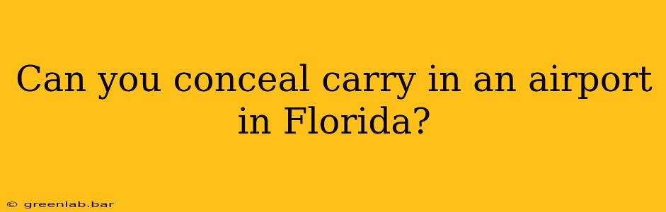 Can you conceal carry in an airport in Florida?