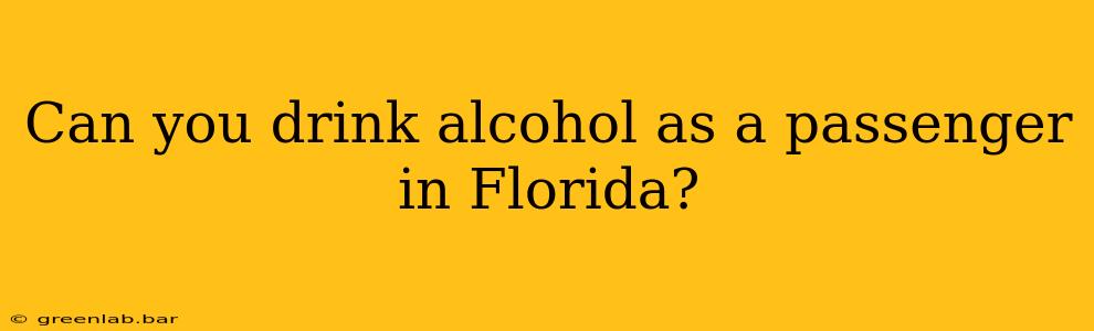 Can you drink alcohol as a passenger in Florida?