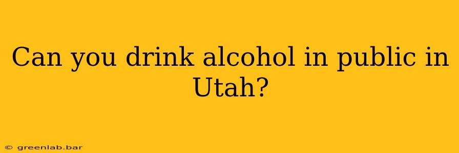 Can you drink alcohol in public in Utah?