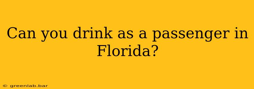 Can you drink as a passenger in Florida?