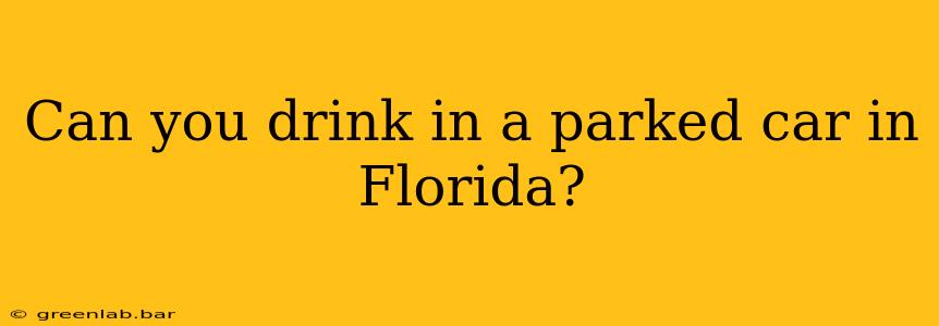 Can you drink in a parked car in Florida?