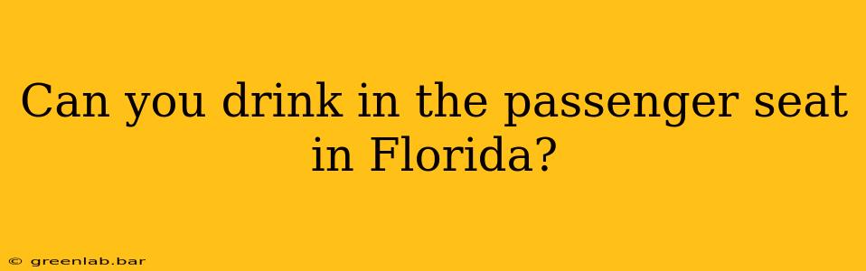 Can you drink in the passenger seat in Florida?