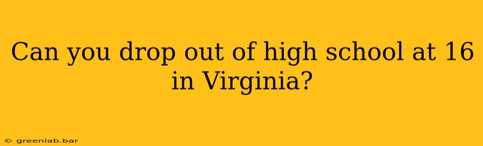 Can you drop out of high school at 16 in Virginia?