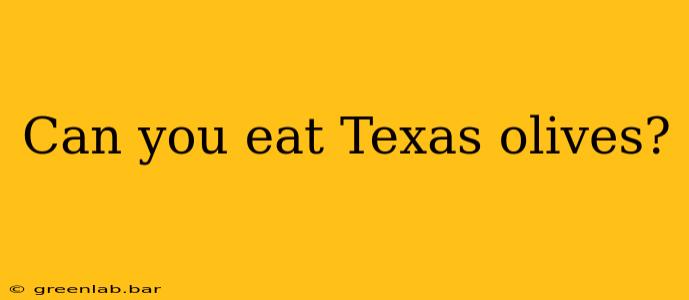 Can you eat Texas olives?