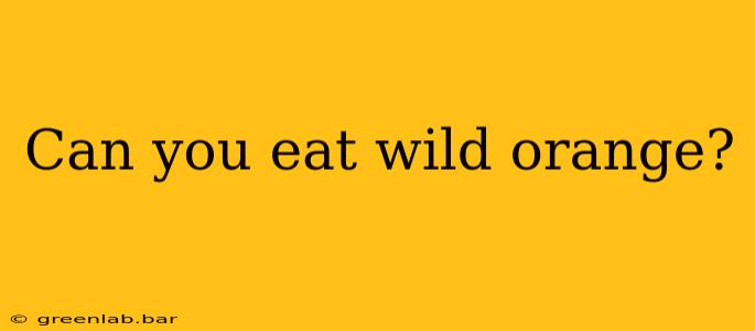 Can you eat wild orange?