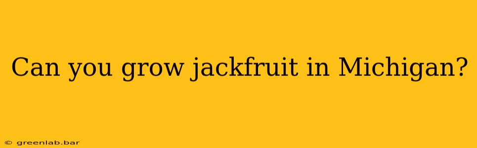 Can you grow jackfruit in Michigan?