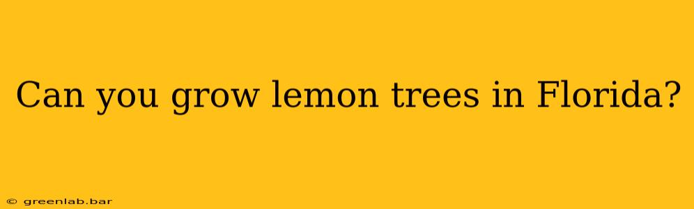 Can you grow lemon trees in Florida?