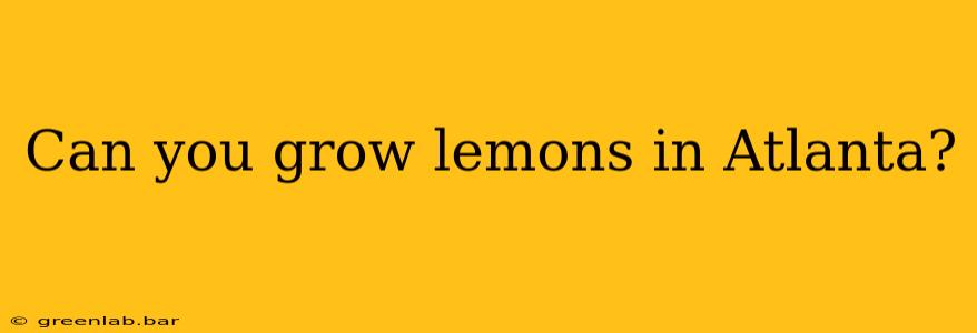 Can you grow lemons in Atlanta?