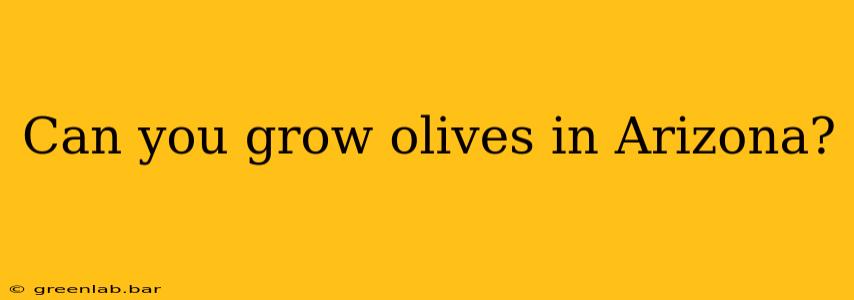 Can you grow olives in Arizona?