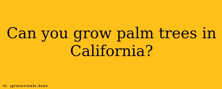 Can you grow palm trees in California?