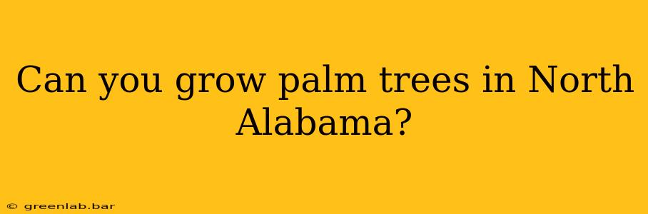 Can you grow palm trees in North Alabama?