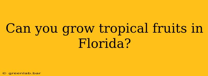 Can you grow tropical fruits in Florida?