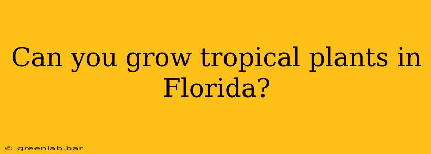 Can you grow tropical plants in Florida?