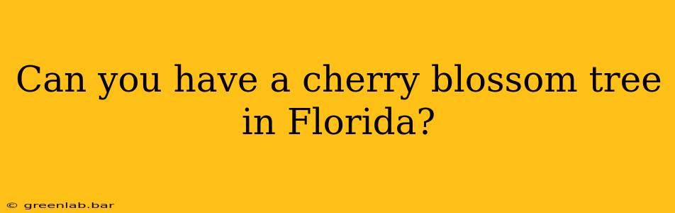 Can you have a cherry blossom tree in Florida?