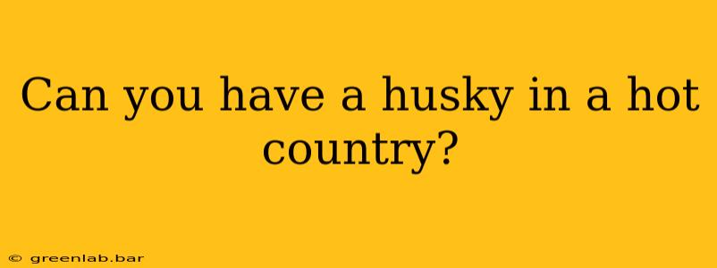 Can you have a husky in a hot country?