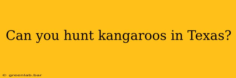 Can you hunt kangaroos in Texas?