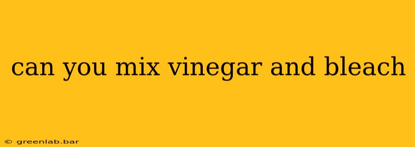 can you mix vinegar and bleach