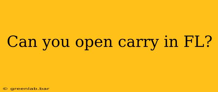 Can you open carry in FL?