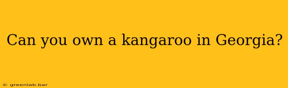 Can you own a kangaroo in Georgia?