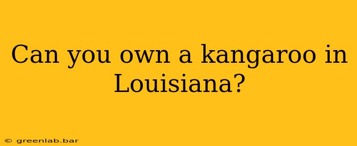 Can you own a kangaroo in Louisiana?