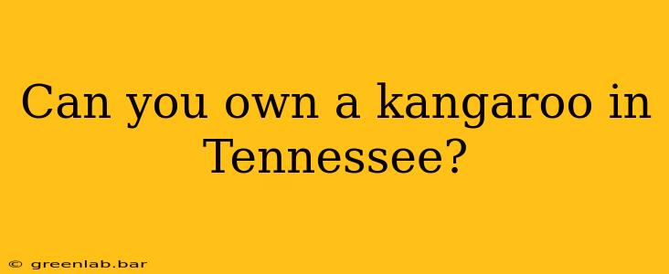 Can you own a kangaroo in Tennessee?