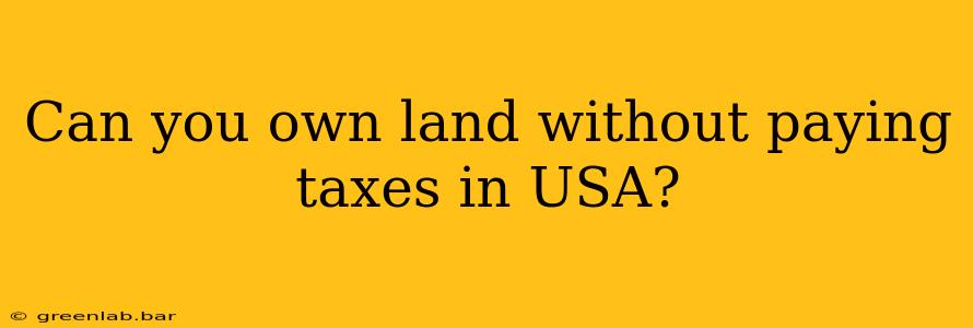 Can you own land without paying taxes in USA?