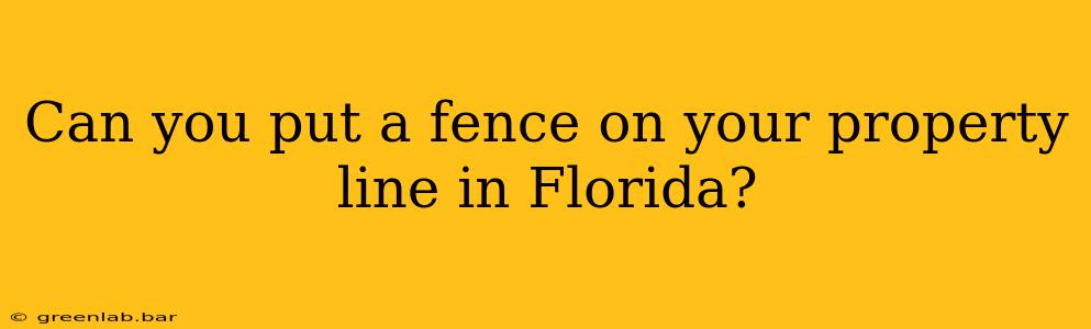 Can you put a fence on your property line in Florida?