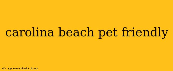 carolina beach pet friendly