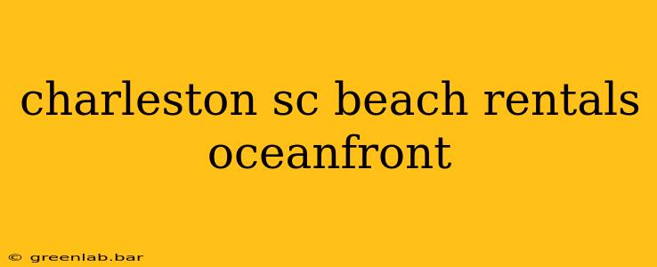 charleston sc beach rentals oceanfront