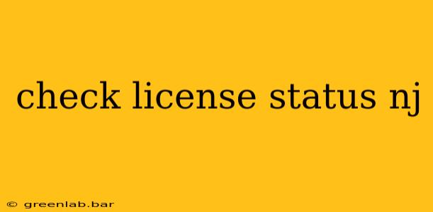 check license status nj